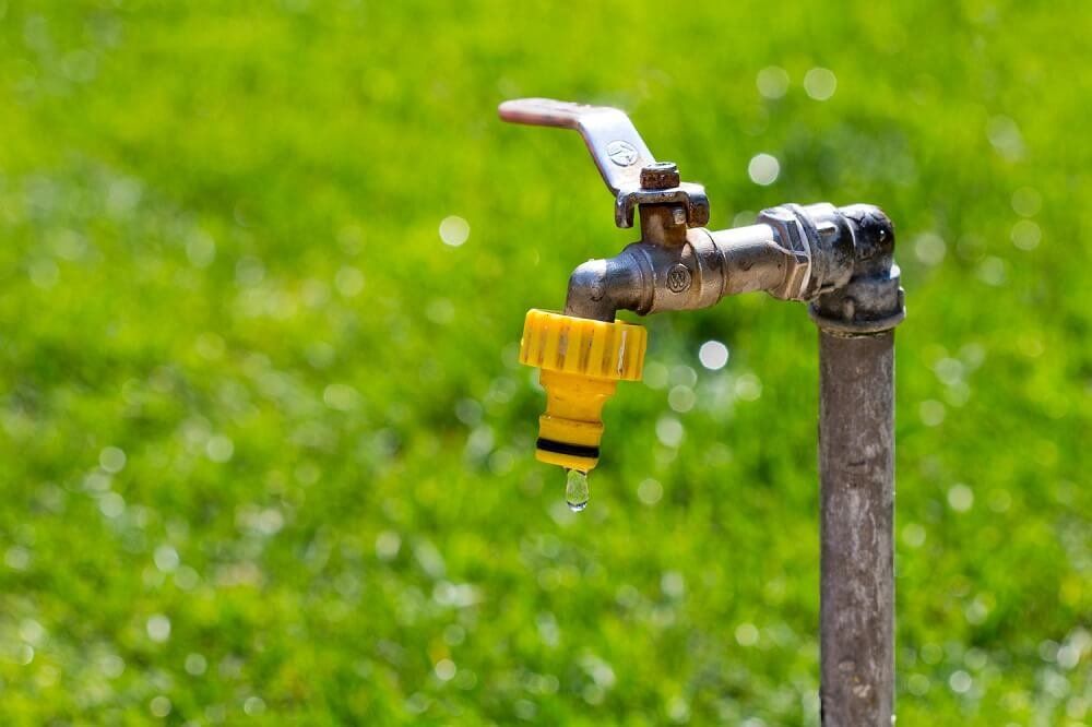 How to Save Water in Your Garden: 5 Top Tips | Greensleeves