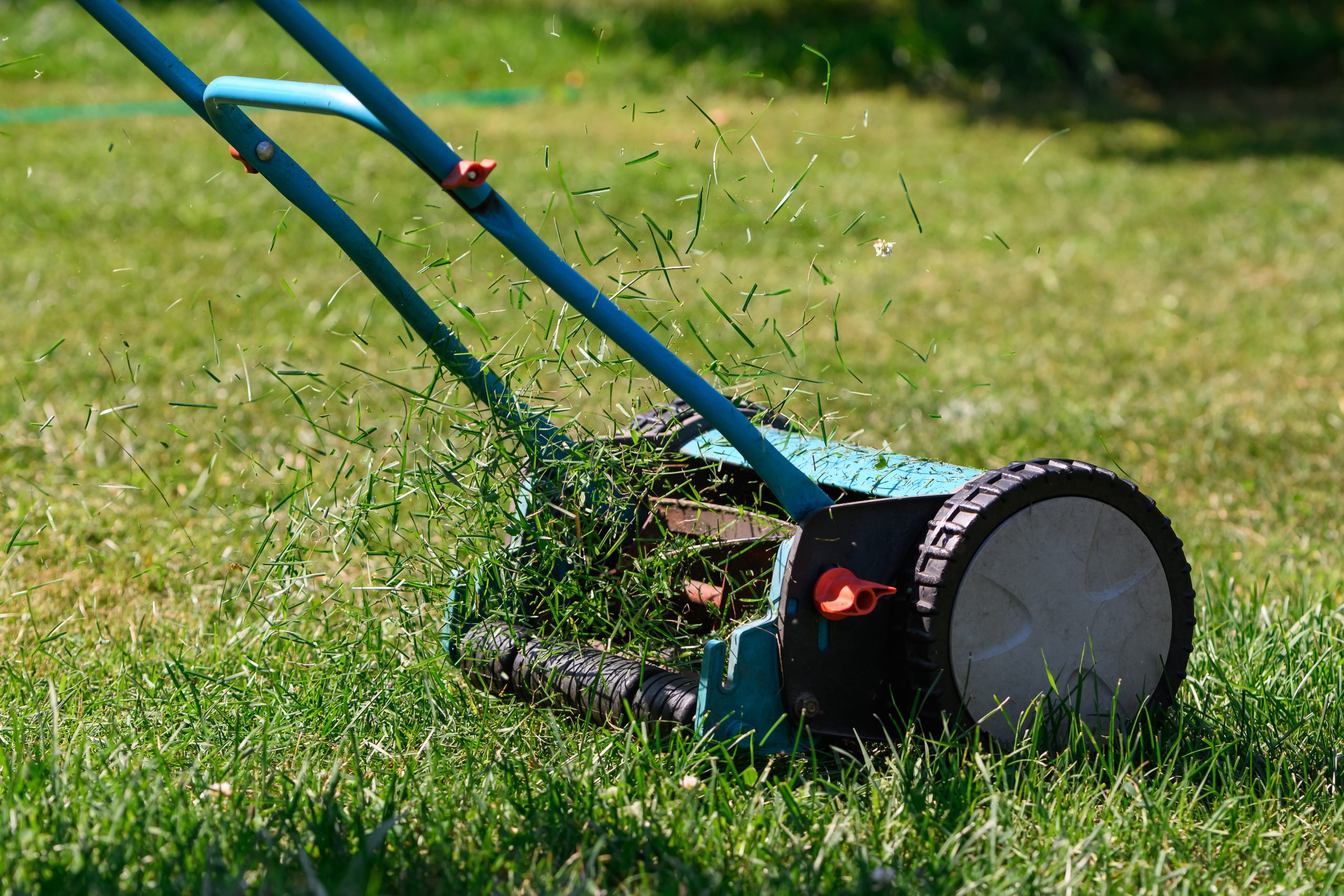 Go green with a push mower for an eco-friendly lawn care solution.