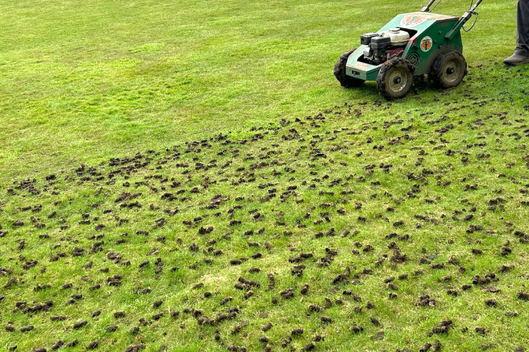 Lawn aeration