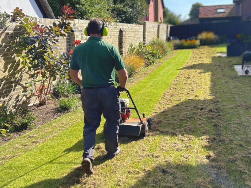 How to scarify a lawn