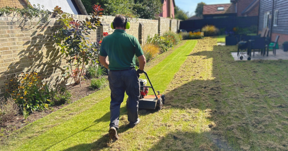 How to scarify a lawn